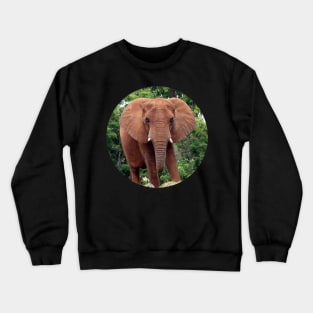 Framed Jungle Elephant Crewneck Sweatshirt